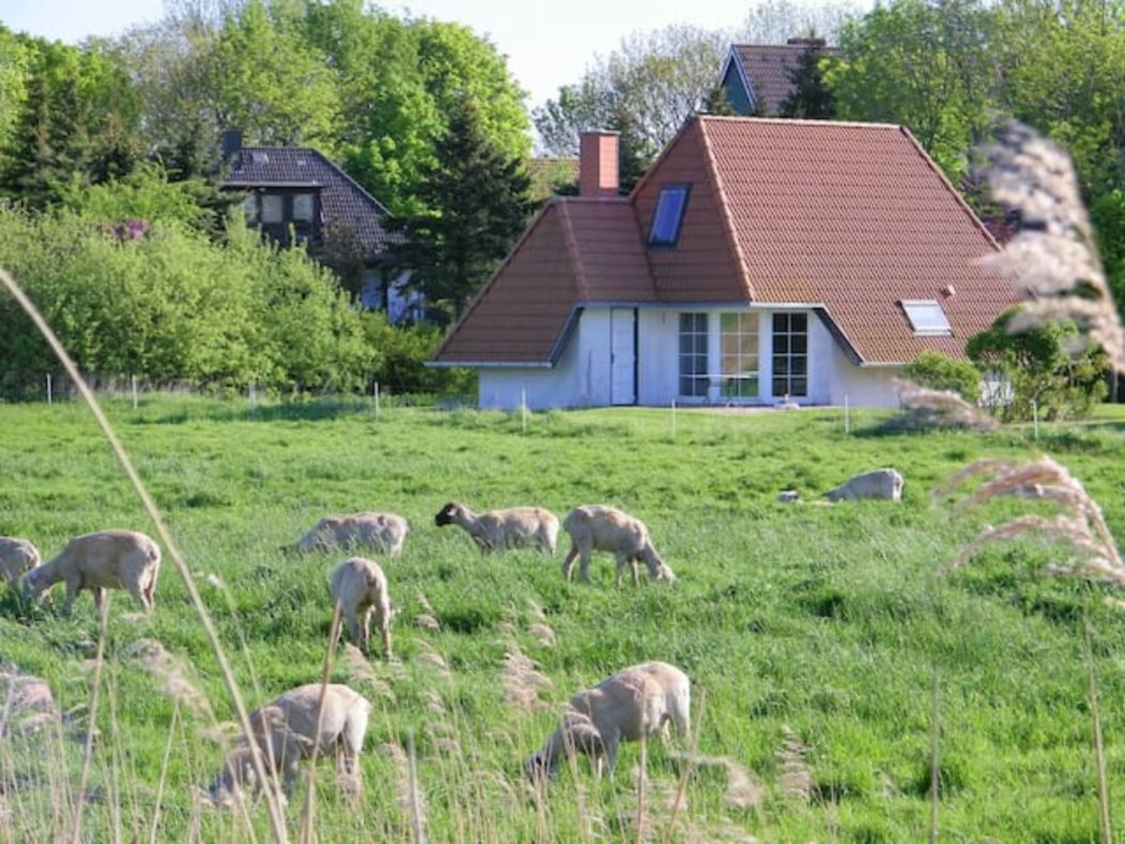 Ansicht vom Deich-001-001