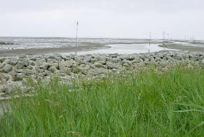 DSC07359