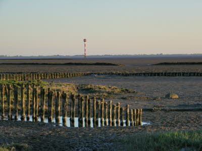 Watt