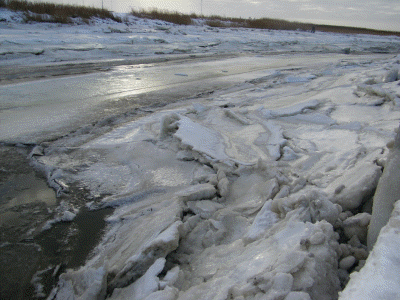 Eisschollen