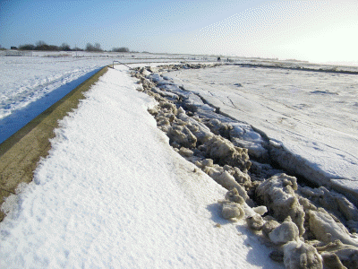 vereister Strand