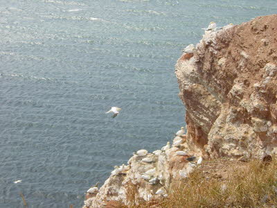Helogoland