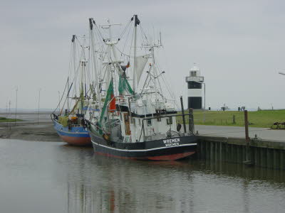 am Kutterhafen