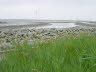 Grnstrand