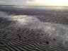 Wattenmeer