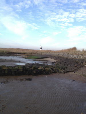 Strandlandschaft