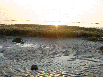 Winterstrand