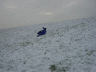 Schnee